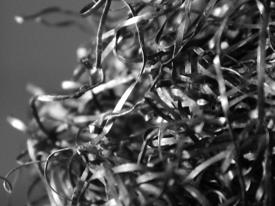 Lead Seals and Wool